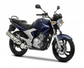 2011 Yamaha YBR250 photo
